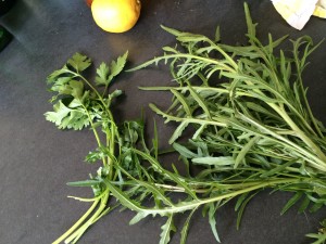 Rucola